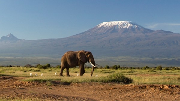 Kilimanjaro: Stepping up to a new LawNet Challenge 
