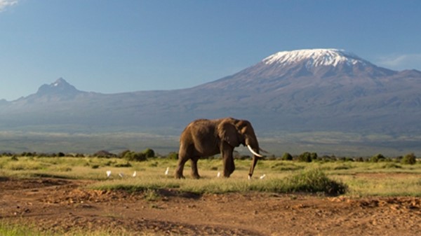 Kilimanjaro Blog 1: Getting Started